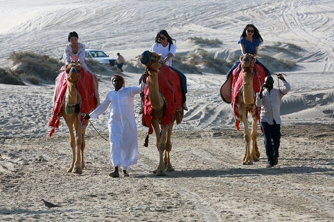Full-day Qatar desert safari: dune bashing, sandboarding, camels - Leaving Doha for Sealine Beach