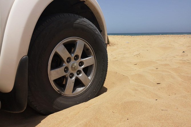 Full-Day Safari Small Desert With Lunch - The guides can make or break the day