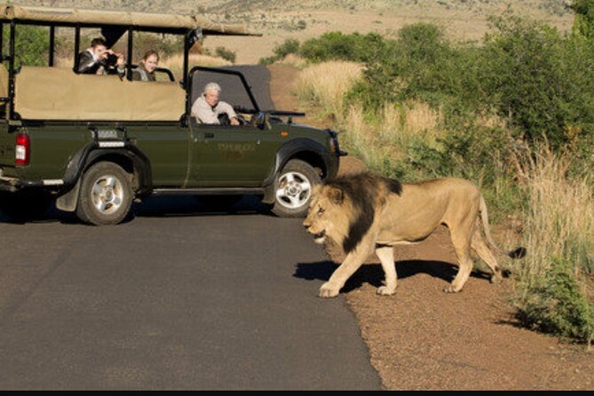Full Day Safari Tour of Pilanesberg National Park, Open Jeep experience - The long day is the real tradeoff
