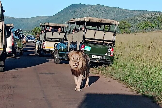Full-Day Shared Kruger National Park Safari from Hoedspruit - A 5:00 am start from Hoedspruit
