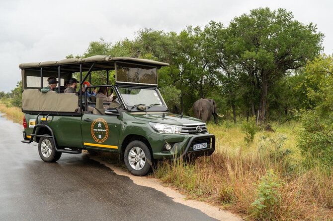 Full-Day Shared Kruger National Park Safari from Hoedspruit - The coffee break around 8:00 am