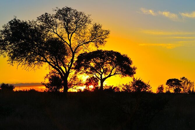 Full-Day Shared Kruger National Park Safari from Hoedspruit - A long middle of the day