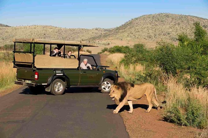 Full Day Ultimate Pilanesberg National Park Safari from Johannesburg or Pretoria - The Afternoon Drive and the Slower Pace