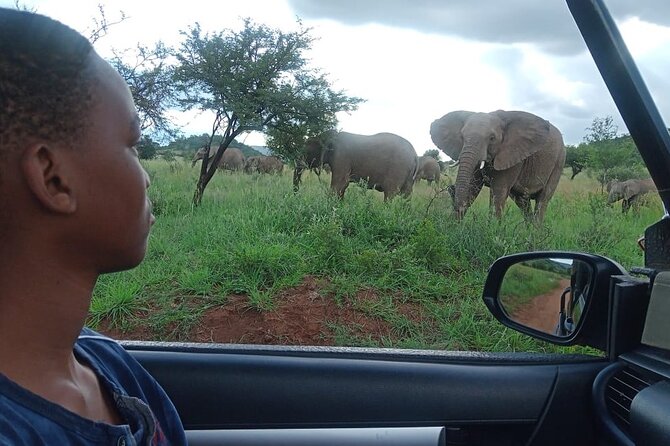 Full Day Ultimate Pilanesberg National Park Safari from Johannesburg or Pretoria - The Early Pickup and Long Road to the Reserve