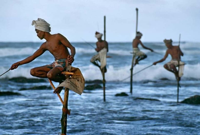 Galle Day Trip - River Safari, Sea Turtle & Stilt Fishermen - Turtle conservation on the South Coast