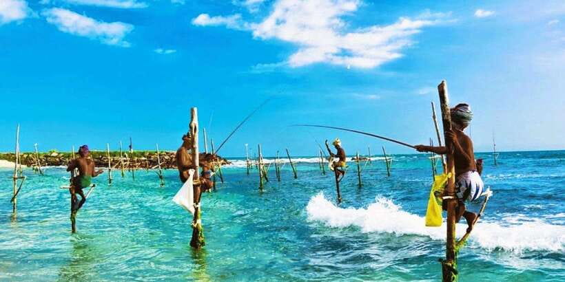 Galle Day Trip - River Safari, Sea Turtle & Stilt Fishermen - The Bentota River safari and its mangrove wildlife