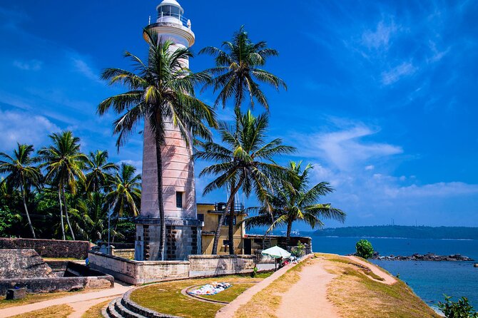 Galle Day Trip with River Safari, Sea Turtle & Stilt Fishermen - Bentota River safari: the strongest part of the day
