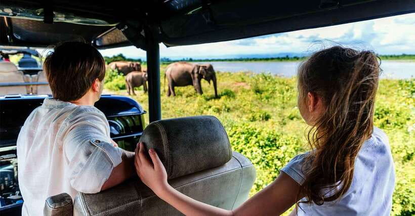 Galle/Mirissa/Hiriketiya: Drop to Ella & Udawalawa Safari - Why this transfer makes sense for a Sri Lanka itinerary