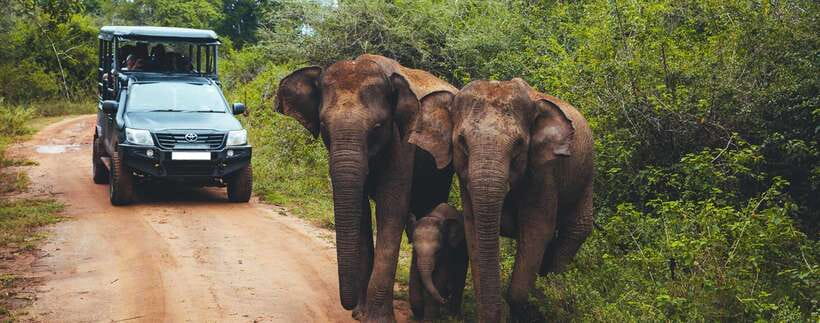 Galle/Mirissa/Hiriketiya: Drop to Ella & Udawalawa Safari - Should you book the Udawalawe transfer to Ella?