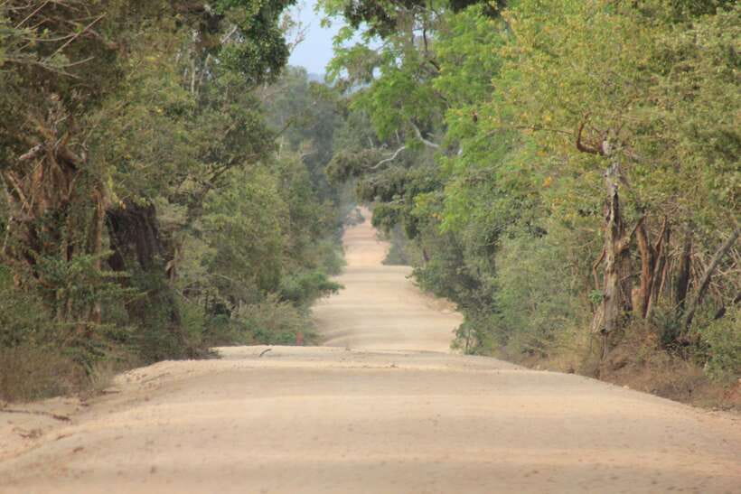 GALLE/MIRISSA/TANGALLE/HIRIKETIYA DROP to ELLA & YALA SAFARI - The second one-hour game drive