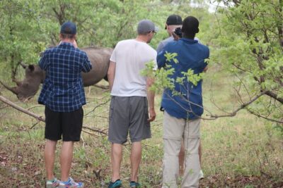 Game Drive and White Rhino Walking Safari in Livingstone