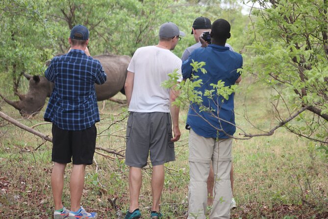 Game Drive and White Rhino Walking Safari in Livingstone - Starting with pickup and a short park briefing