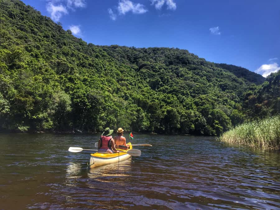 Garden Route and Addo Elephant National Park: 5-Day Safari - Key points to know before booking