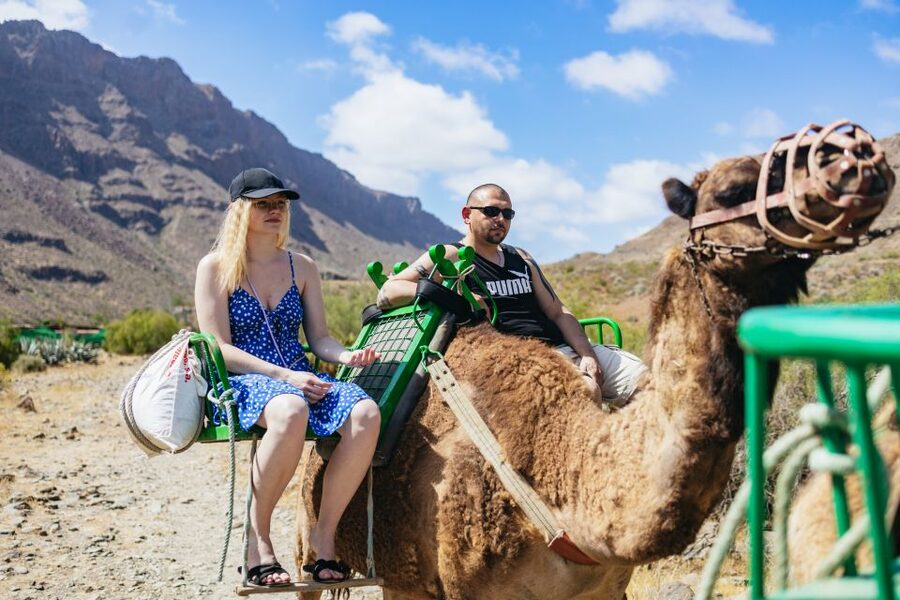 Gran Canaria: Camel Ride Safari w/ Optional Food & Transport - Arriving in the Valley of the Thousand Palms