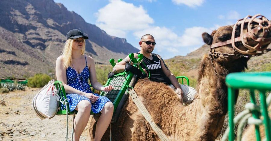 Gran Canaria: Camel Ride Safari w/ Optional Food & Transport - What the 60-minute camel ride is really like
