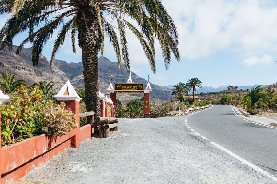 Gran Canaria: Camel Ride Safari w/ Optional Food & Transport - Is $50 good value?