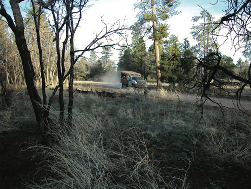 Grand Canyon: Off-Road Sunset Safari with Skip-the-Gate Tour - What this Grand Canyon sunset safari actually offers