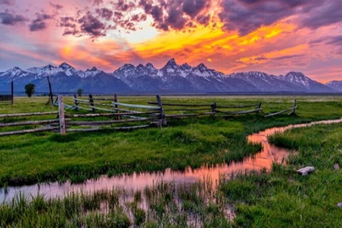 Grand Teton Wildlife Safari in a Enclosed or Open-Air Vehicle (season dependent) - Key points to know before you book