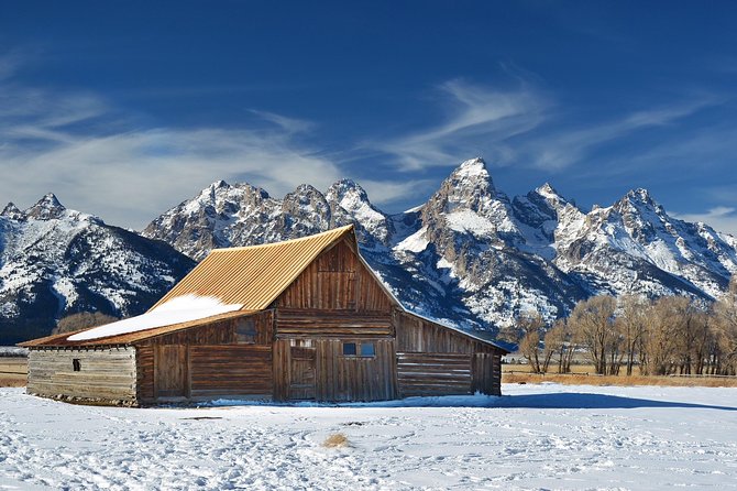 Grand Teton Wildlife Safari in a Enclosed or Open-Air Vehicle (season dependent) - The Tetons, Snake River, and the story beneath your feet