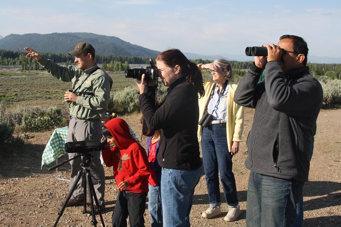 Grand Teton Wildlife Safari in a Enclosed or Open-Air Vehicle (season dependent) - Dawn or sunset: choosing your departure