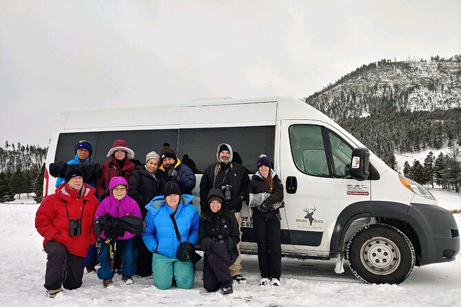 Grand Teton Wildlife Safari in a Enclosed or Open-Air Vehicle (season dependent) - Searching for elk, moose, bears, and wolves