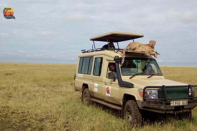 Group Safari 7 Days in Tanzania's Main Parks - What the $3,000 price really covers