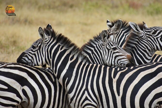 Group Safari 7 Days in Tanzania's Main Parks - Day 6: Tarangire brings a different rhythm