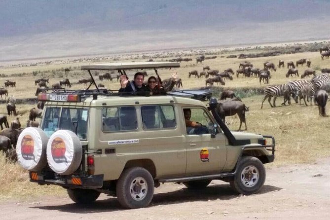 Group Safari 7 Days in Tanzania's Main Parks - The guide can make or break the week