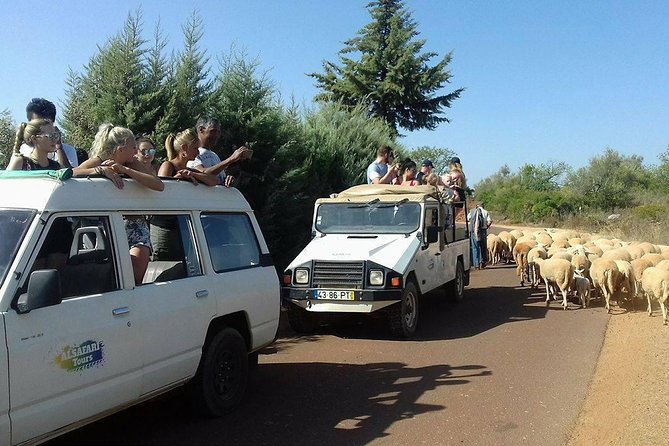 Half-Day Algarve Countryside and Villages Jeep Safari - São Bartolomeu de Messines: the big view