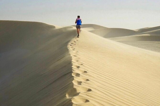 Half Day Desert Safari and Inland Sea - Who will enjoy this four-hour outing