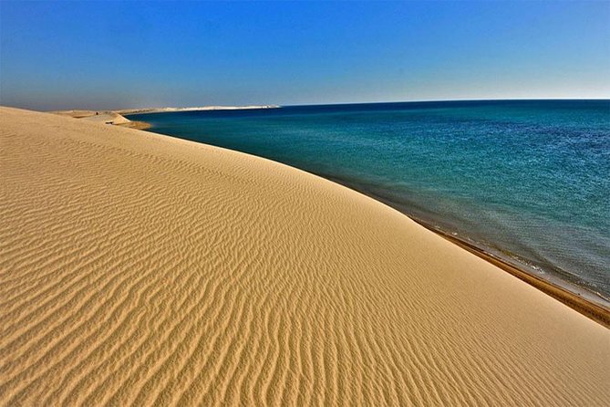 Half Day Desert Safari || Sand Boarding || Camel Ride || Inland Sea Visit || - Who will enjoy this four-hour safari?