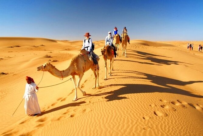 Half Day Desert Safari with Sand Boarding and Camel Ride - Dining, culture, and what is not fully specified