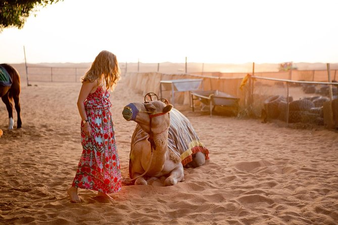 Half-Day Dubai Desert Safari With 7 Live Shows and BBQ Dinner - Dune bashing across the red sand