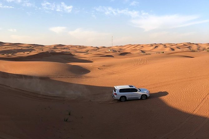 Half-Day Evening Desert Safari in Dubai with BBQ Dinner - Who should book this safari?