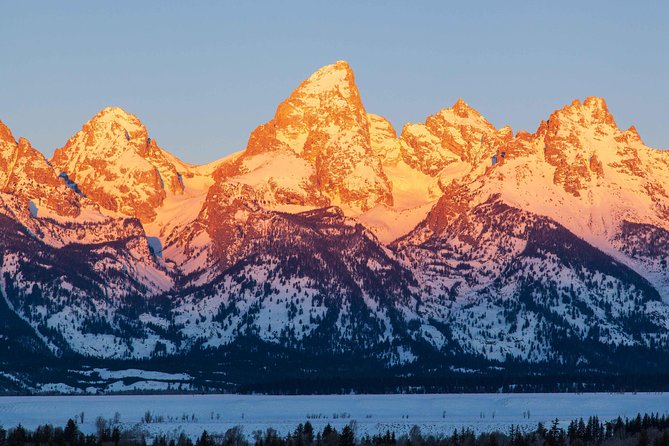 Half Day Grand Teton Wildlife Safari Tour - National Elk Refuge: an important Jackson-area stop