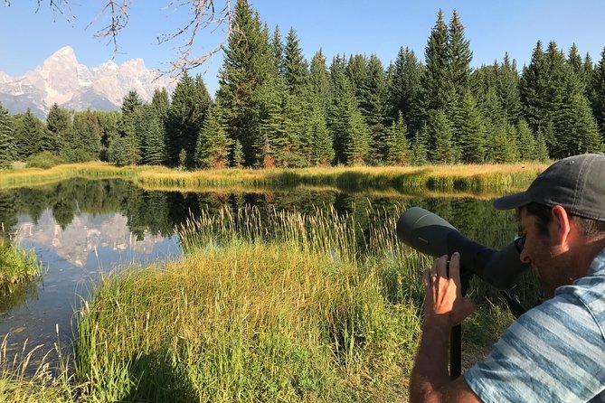 Half Day Group Sunset Wildlife Safari - Grand Teton’s classic views along the route