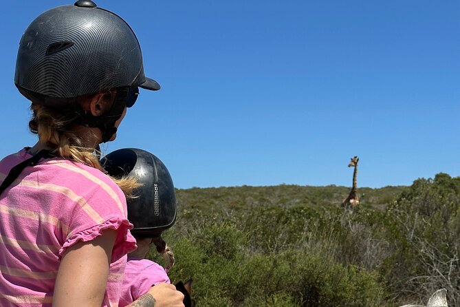 Half day Horse back safari - Lunch at !Khwa ttu San Heritage Centre