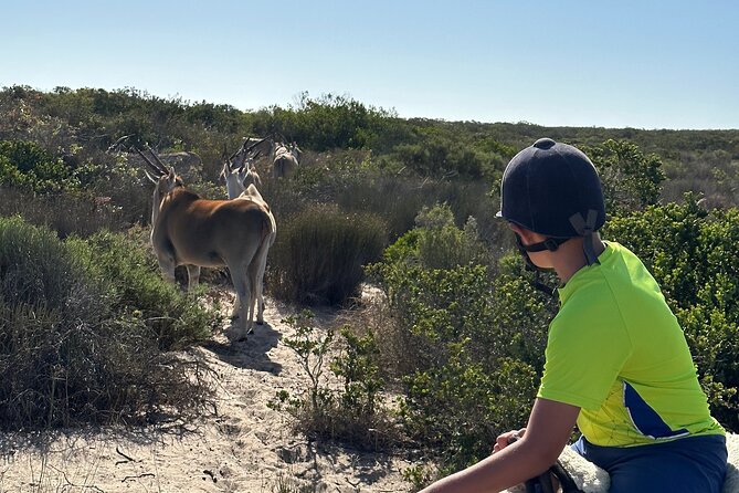 Half day Horse back safari - What the $60.60 price gets you