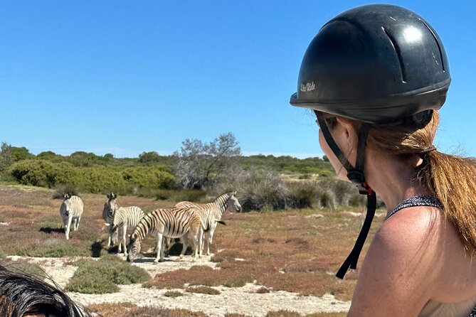 Half day Horse back safari - The Atlantic views and spring flowers