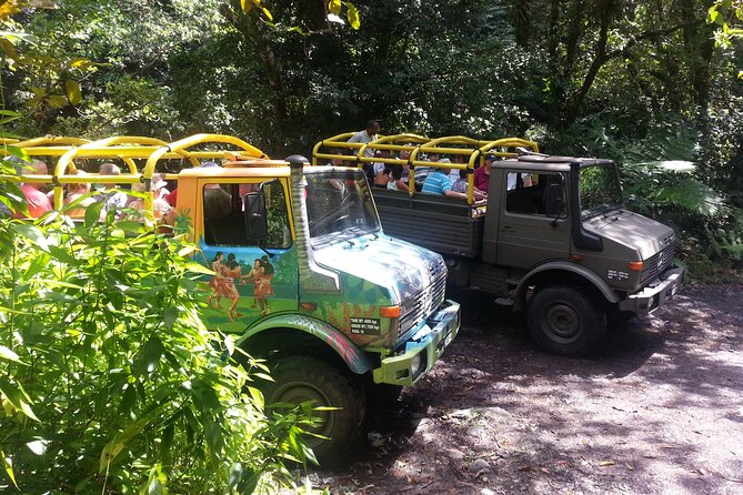 Half Day Jeep Safari - Key points at a glance