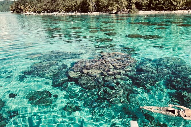 Half day lagoon safari tour in Bora Bora- Shared tour - What the Rohivai lagoon safari is really about
