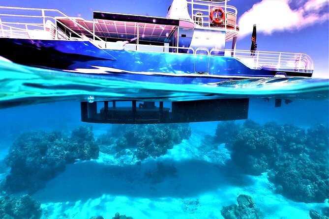 Half day lagoon safari tour in Bora Bora- Shared tour - Eagle rays and possible manta sightings