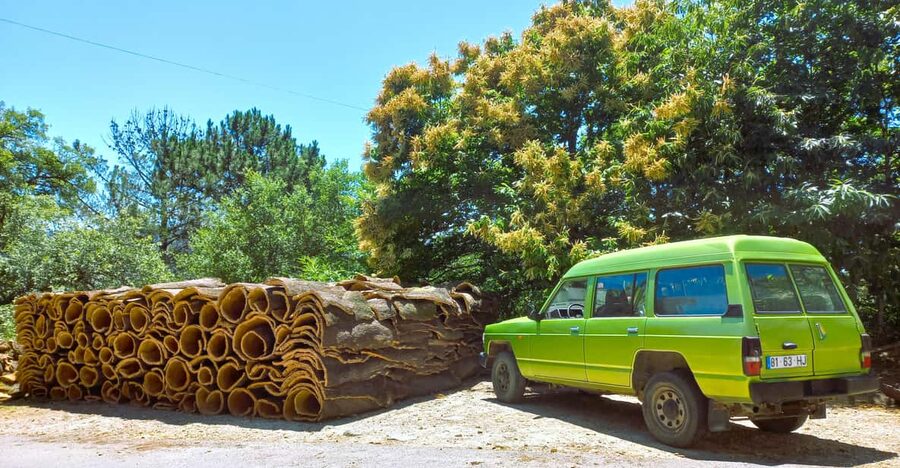 Half-Day Mountain Jeep Safari with firewater tasting - Key points to know before booking