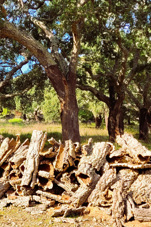 Half-Day Mountain Jeep Safari with firewater tasting - Why this four-hour trip is different