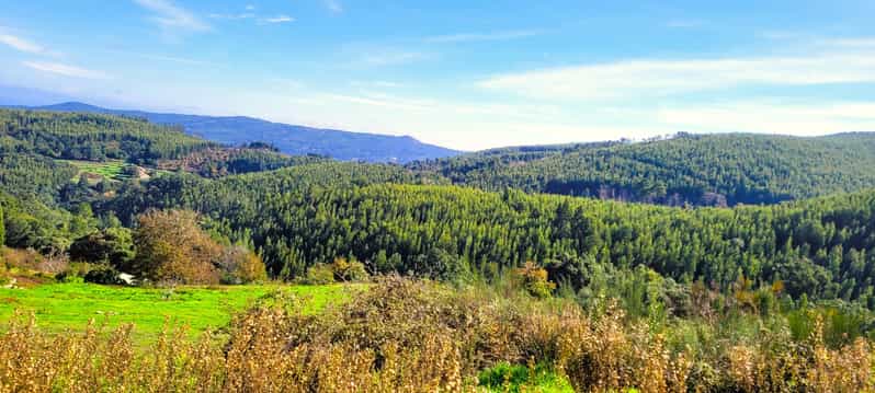 Half-Day Mountain Jeep Safari with firewater tasting - The jeep ride: fun, but check your comfort level