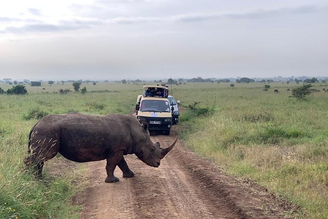 Half-Day Nairobi National Park Safari from Nairobi with Free Pickup - What the six-hour outing actually involves