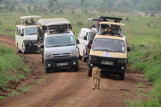 Half-Day Nairobi National Park Safari from Nairobi with Free Pickup - Vehicles, roads, and comfort
