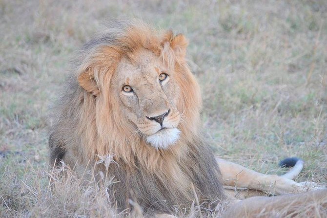 Half-Day Nairobi National Park Safari from Nairobi with Free Pickup - Entering the park from Nairobi