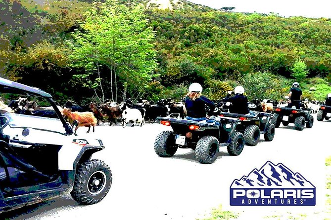 Half-Day Rethymno Quad Safari - What the 72.56 dollar price includes