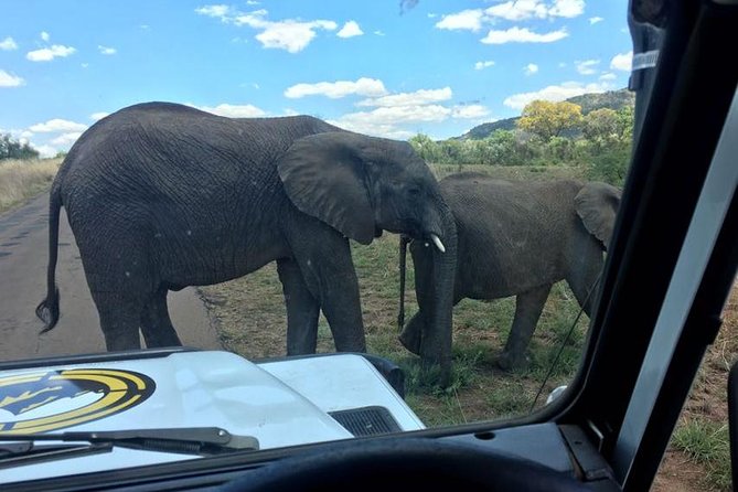 Half day safari from johannesburg - Leaving Johannesburg for the reserve